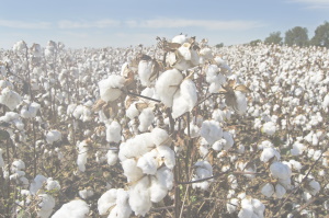 Non-binding registration: Textile