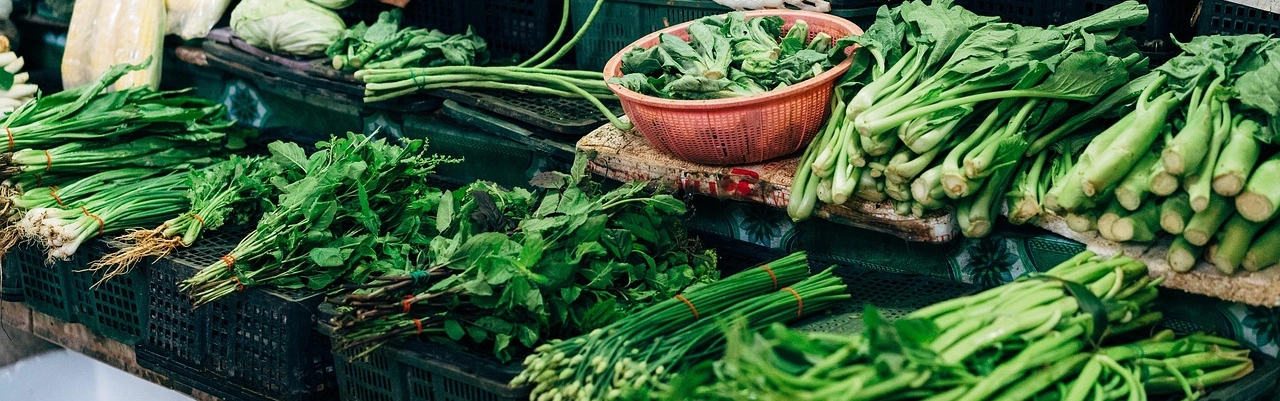 Singapore Organic Certification 