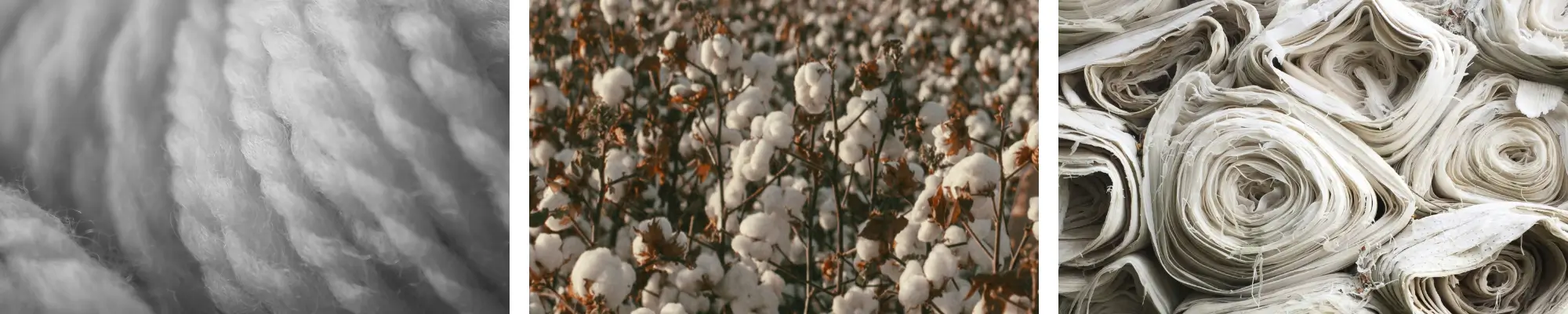 <strong>Textile</strong> and Recycling Certification