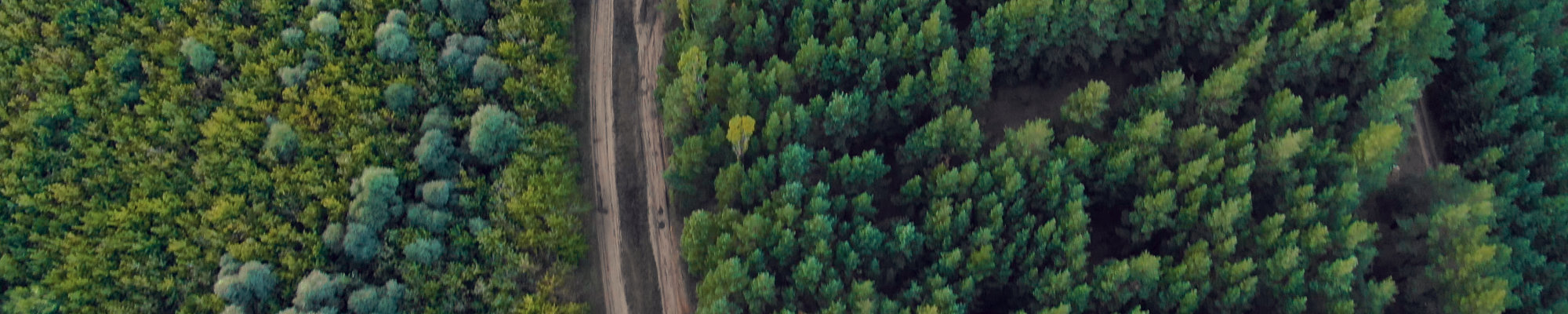 Global Construction C-Sink Standard